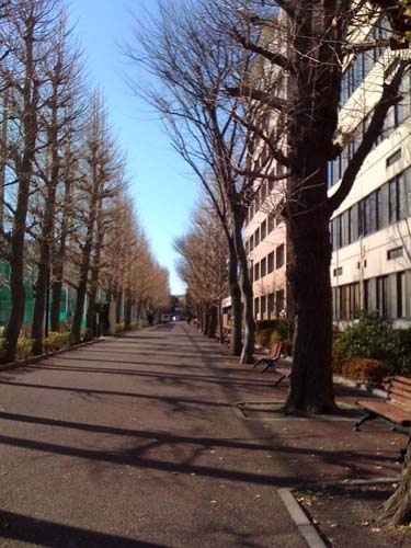 麻布大学