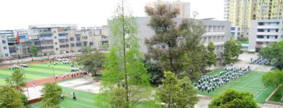 新津县第四中学2021年排名