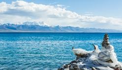 新励成生命的创造—生命状态