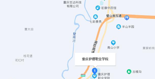 重庆护理职业学院