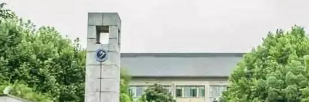 2023南京市第九中学招生计划 招生人数是多少(附要求、条件、对象)