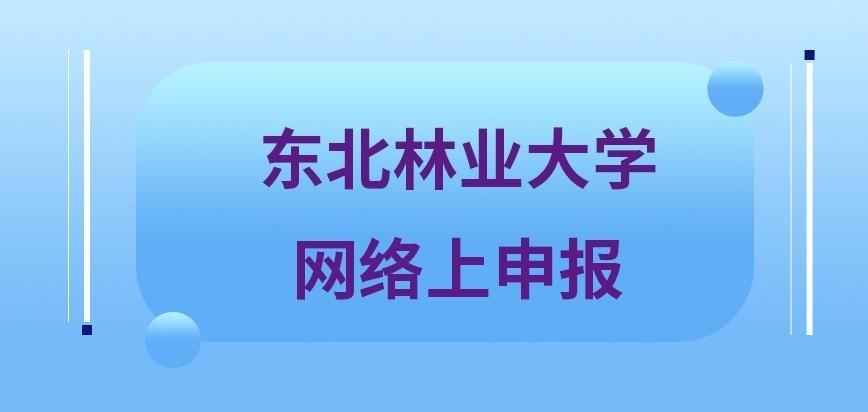 东北林业大学在职研究生网络上申报吗
