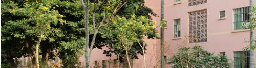 广西广播电视学校