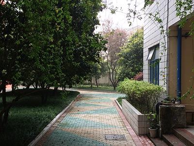 杭州仁和国际学校环境