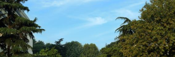 河海大学在各省的录取分数线及位次表(2022-2021)