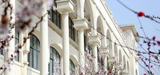 合肥信息技术职业学院地址在哪里