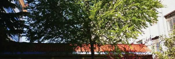 西峰北辰职业技术学校