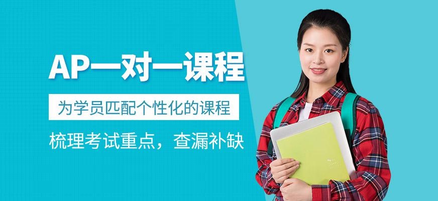 AP一对一课程