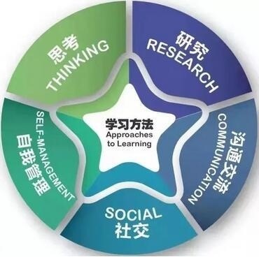 常青藤幼儿的学习方法.jpg