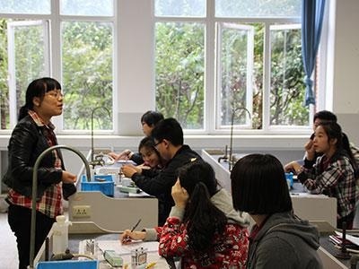 上海诺科学校