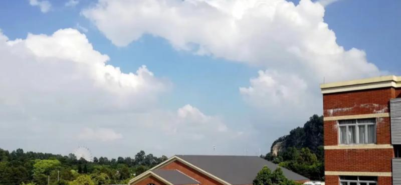 广州英东中学初中部2023年录取分数线