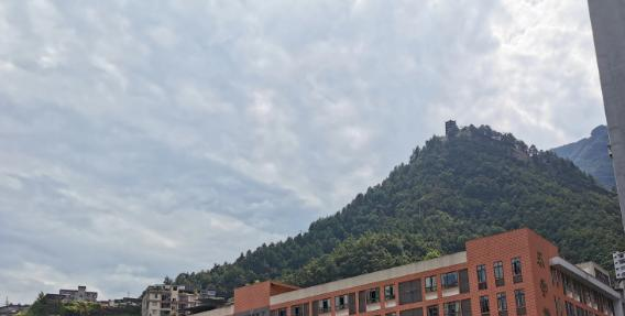 截图_20211116125500