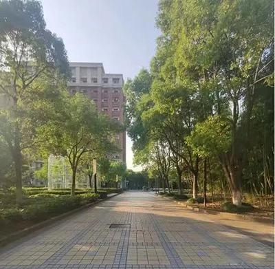 稻田学塾2.jpg