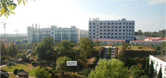 江西艺术职业学院2019年单招录取分数线