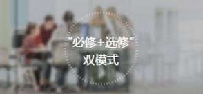 必修选修双模式