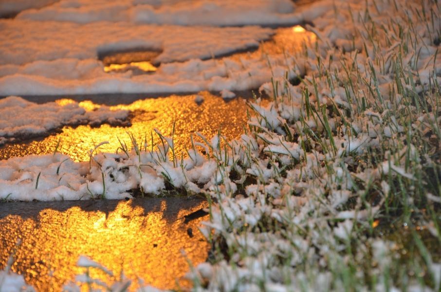 dhsz-2-yuki-0c2afa-2x