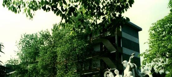 截图20200415143859