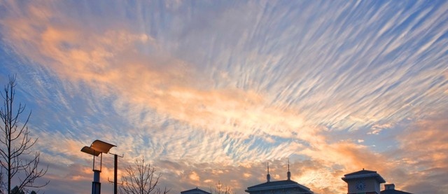 丽水职业技术学院单招成绩查询时间