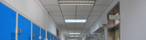 北京二十一世纪国际学校小学部网站