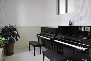 上海博雅学校国际部日本高中音乐班招生简章