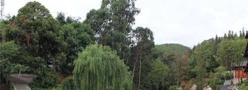 凉山州农业学校五年制大专2020年招生办