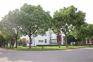 上海美达菲学校校园环境