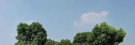 历年南京医科大学2022全国排名榜(软科+校友会）-2023参考