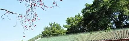 廣雅中學(xué)博雅國際班2023年錄取分?jǐn)?shù)線