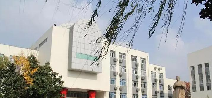 南京实验国际学校2023年课程体系