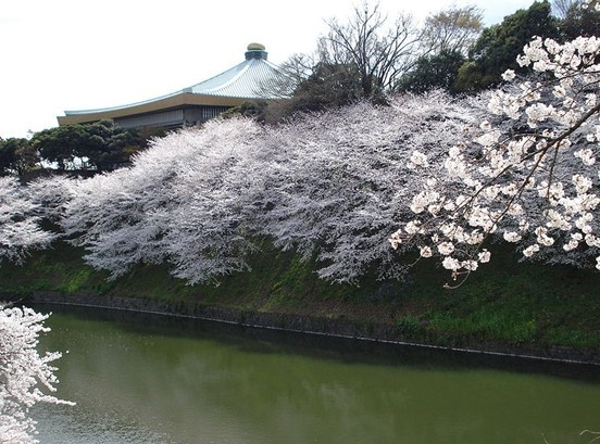 帝京大学