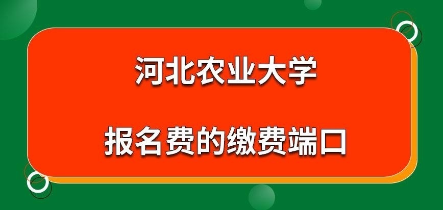 河北农业大学在职研究生报名费在哪交