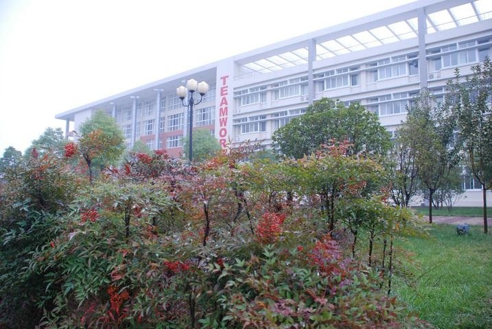 洛阳市第二外国语学校国际部