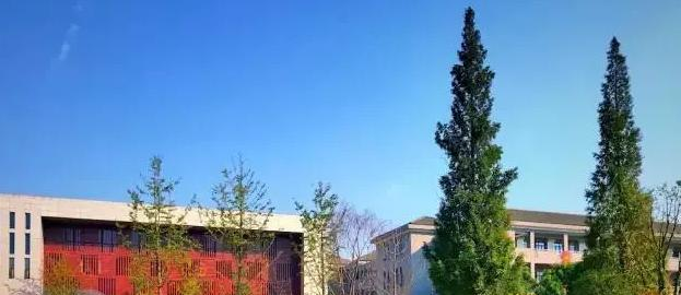 2023南京市栖霞中学招生计划 招生人数是多少(附要求、条件、对象)