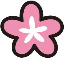 22种代表花材搭配