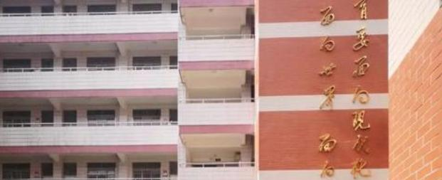 广州知用中学怎么样、好不好