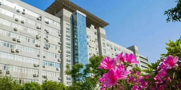 武汉城市职业学院