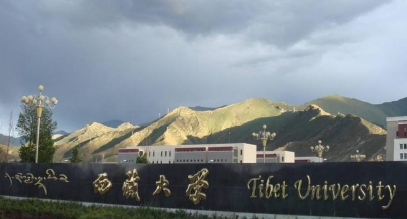 西藏大学是几本？是985和211吗？