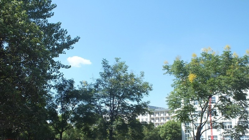 安徽旅游职业学院单招简章