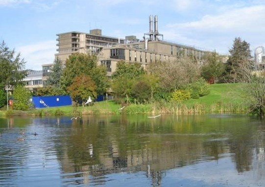 巴斯大学