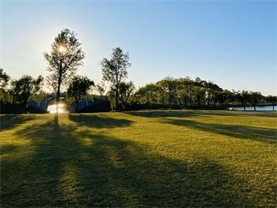 剑桥文理与剑桥艺术学校