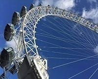 外籍老师的引领下进行课题研究