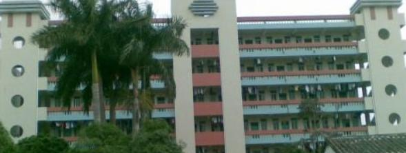 阳东塘坪中学有哪些专业