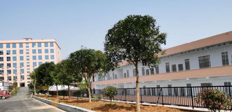 截图20200714091905