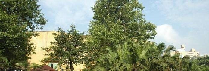 长江师范学院单招简章