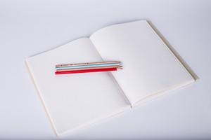 武汉工程大学在职研究生可以拿双证吗