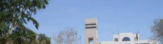 新疆建设职业技术学院单招2019年单独招生有哪些专业