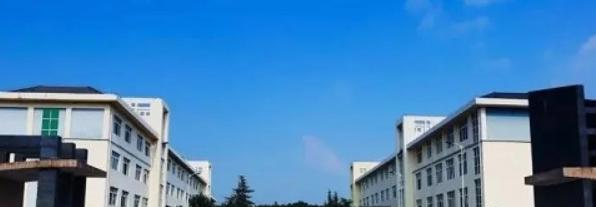 2023川北幼儿师范高等专科学校单独招生计划 招生人数是多少(附要求、条件、对象)