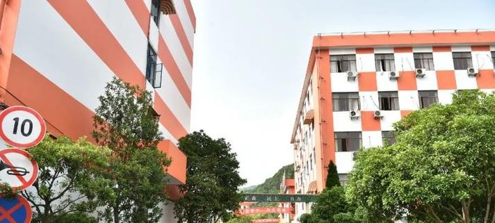 杭州国际学校2022年课程体系