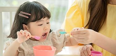 精讲班、网络班