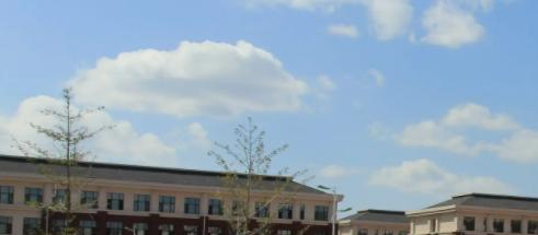 華一劍橋國際學(xué)校2023年錄取分數(shù)線